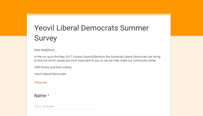Yeovil LD summer survey